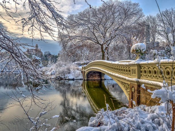 istock Central Park, New York City 941310240
