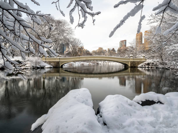 istock Central Park, New York City 941310274