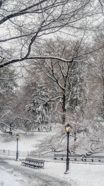 istock Central Park, New York City 941311276