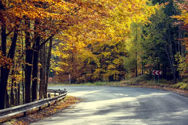 Photo of Awesome view of the asphalt road in the autumn scenery.