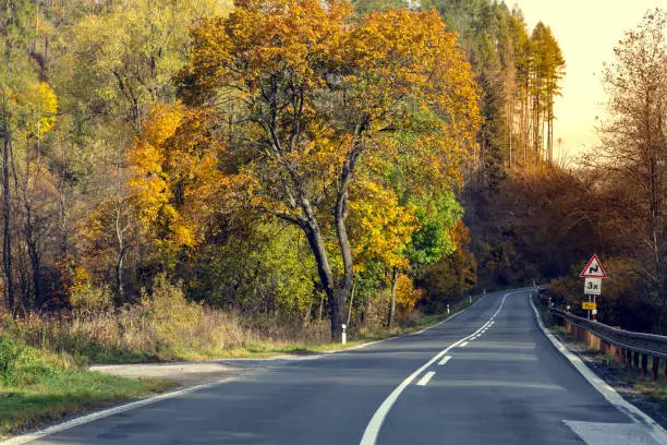 Photo of Awesome view of the asphalt road in the autumn scenery.