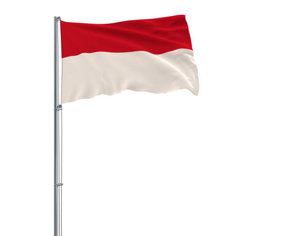 흰색 배경, 3d 렌더링에 바람에 나 부 끼고 깃대에 모나코의 국기를 격리 합니다. - pole flag rope metal 뉴스 사진 이미지