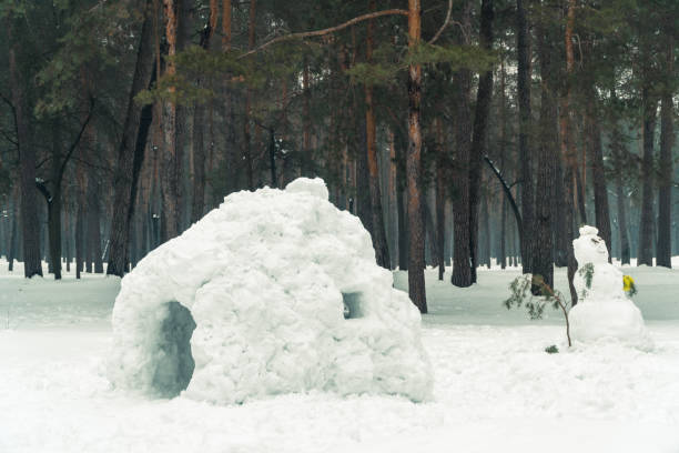 istock Winter. Homemade house with snow 941318560