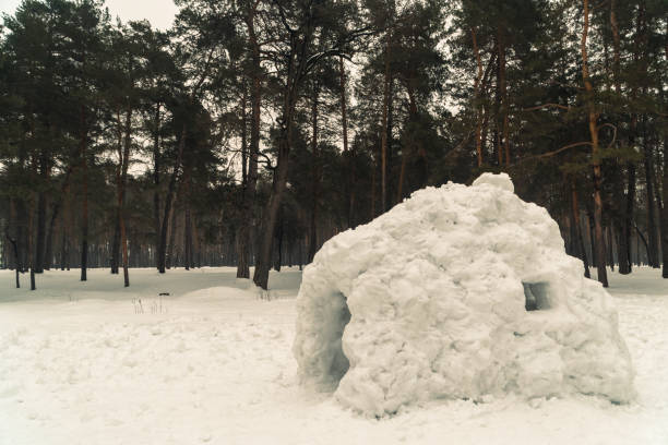 istock Winter. Homemade house with snow 941319230