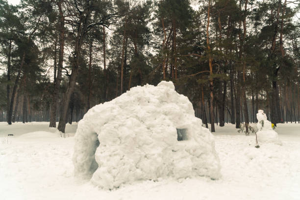 istock Winter. Homemade house with snow 941319542