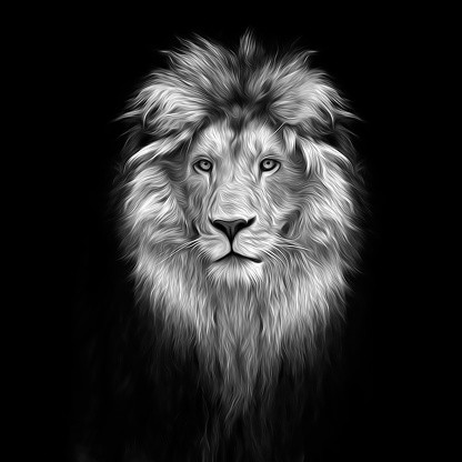 Portrait of a Beautiful lion, lion in the dark, oil paints, soft lines