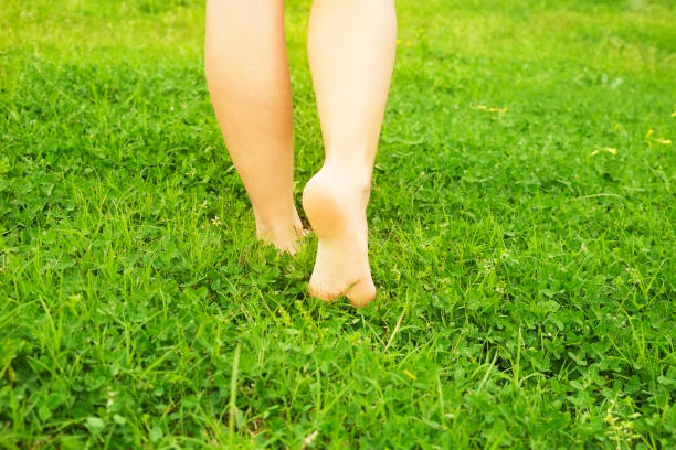 istock Female bare feet on mawed lawn grass. Young woman resting outdoors barefoot, take a break concept. Student on college campus yard. 941325670