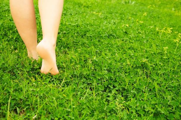istock Female bare feet on mawed lawn grass. Young woman resting outdoors barefoot, take a break concept. Student on college campus yard. 941325688