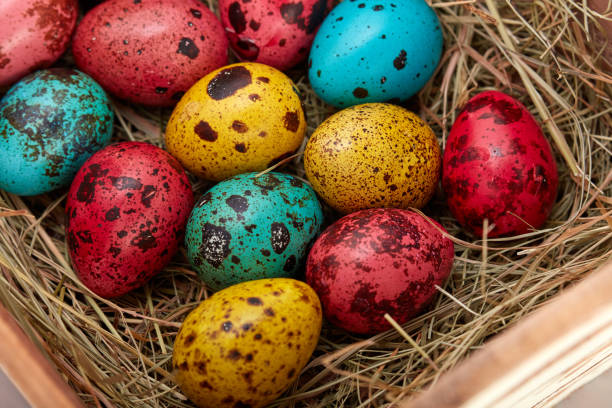 istock nest with colored Easter eggs at home on Easter day. Celebrating Easter at spring. Painted quail eggs. 941326200