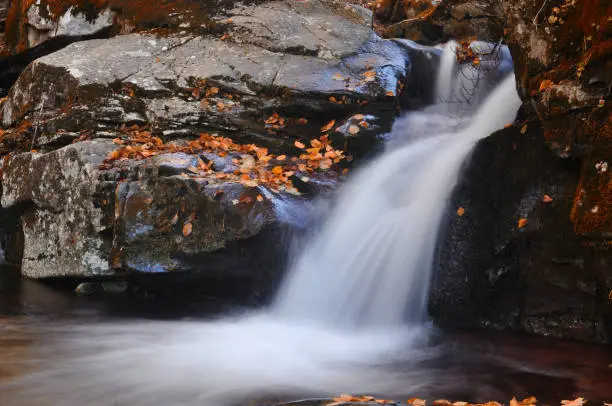 Photo of Small waterfall on the flow with autumn leaf