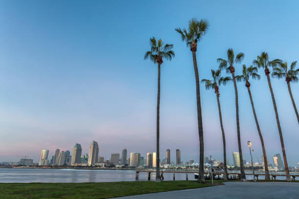 istock Downtown San Diego, California USA 941333464