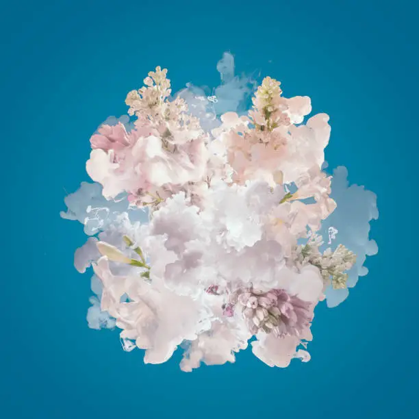 Photo of Milk and flowers exploding