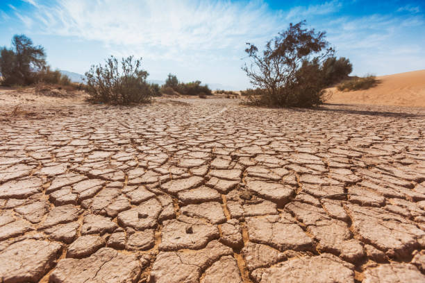 istock Dry cracked soil. Wadi Araba desert. Jordan landscape 941334206