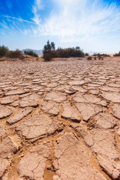 istock Dry cracked soil. Wadi Araba desert. Jordan landscape 941334344