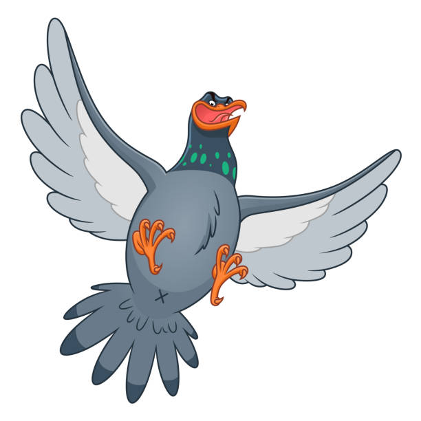 46 Cartoon Of Mocking Bird Illustrations & Clip Art - iStock