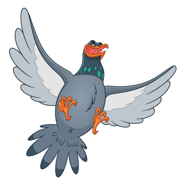 46 Cartoon Of Mocking Bird Illustrations & Clip Art - iStock 46 Cartoon Of Mocking Bird Illustrations & Clip Art - iStock