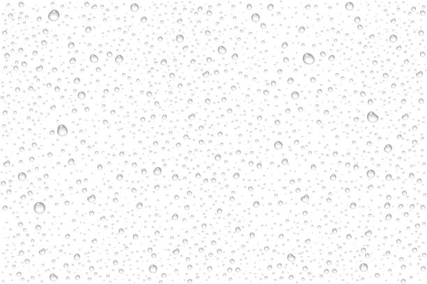 Vector realistic water drops condensed Vector realistic water drops condensed on transparent background. Rain droplets without shadows for transparent surface. Pure water bubbles isolated. Many forms and sizes. rain stock illustrations