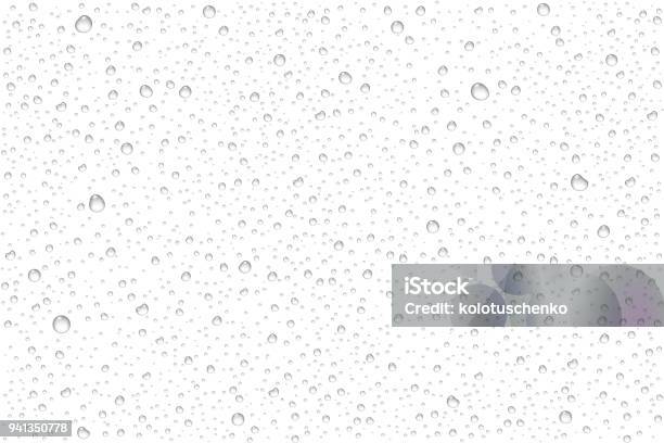 Vector Realistic Water Drops Condensed Stock Illustration - Download Image Now - Drop, Water, Condensation