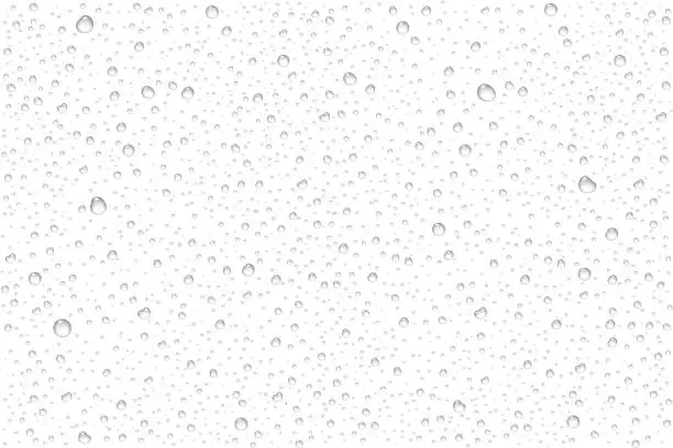 Vector illustration of Vector realistic water drops condensed