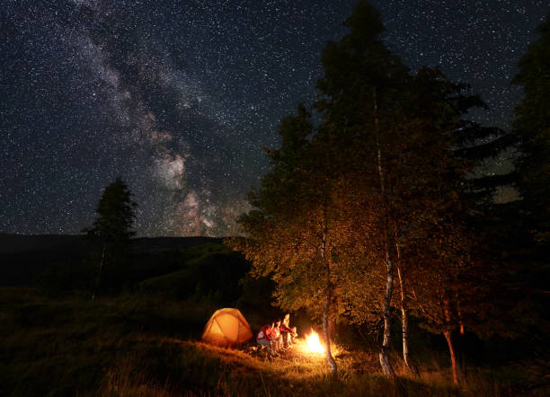 Young peson by campfire sitting on logs during night camping among trees near tent under starry sky