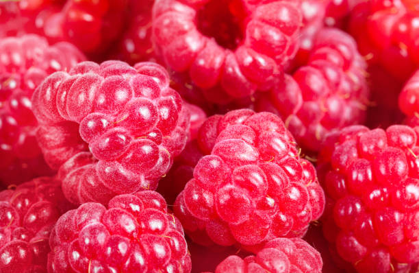 istock ripe raspberry. Red juicy berries close-up. Macro. Background of berries. 941360318
