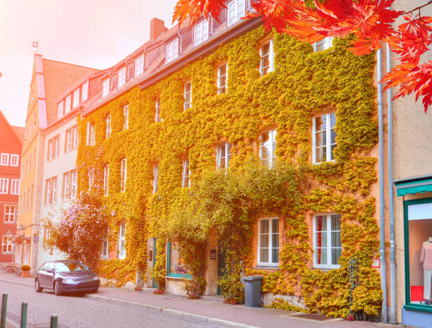 istock Street cafe architecture, Hannover, Germany 941361252