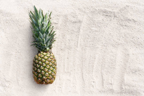 Pineapple on white sand beach. Tropical beach background. Fresh young pineapple lying on the sand beach background. Tropical vacation travel concept.