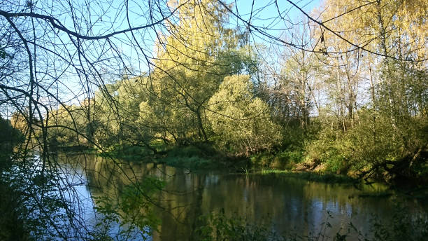 istock Early autumn morning by a river 941369858