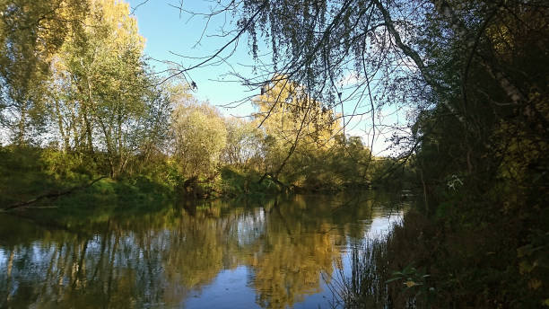 istock Early autumn morning by a river 941369958
