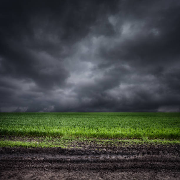 landscape in rainy day, dramatic sky