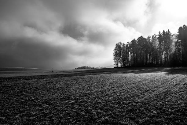 istock Scenic View Of Sea Against Sky 941373512