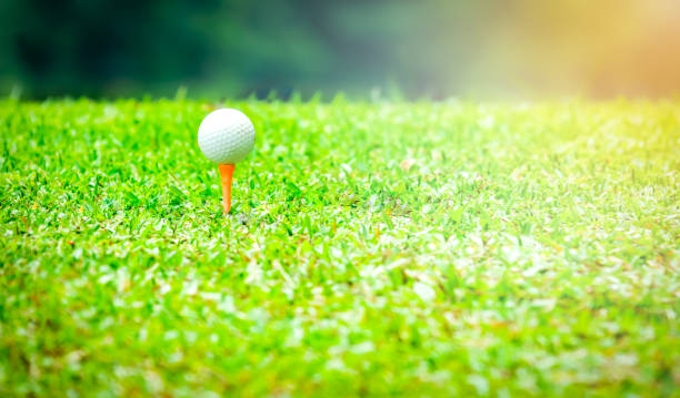 istock Golf ball on tee on tee off zone in golf course 941375730