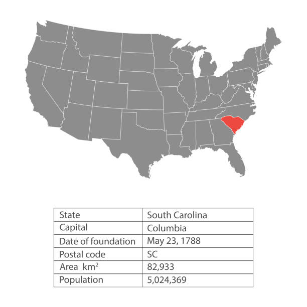 istock States of America territory on white background. South Carolina. Separate state. Vector illustration 941379226