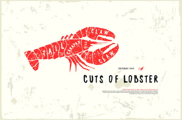 ilustrações de stock, clip art, desenhos animados e ícones de stock vector lobster cuts diagram in the style of handmade graphics - lobster