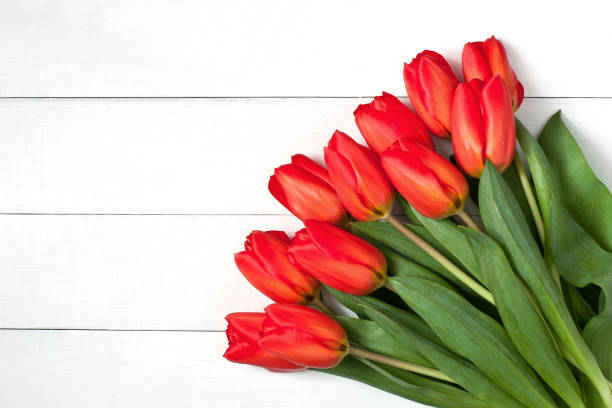 istock Bunch of spring tulip flowers 941391736