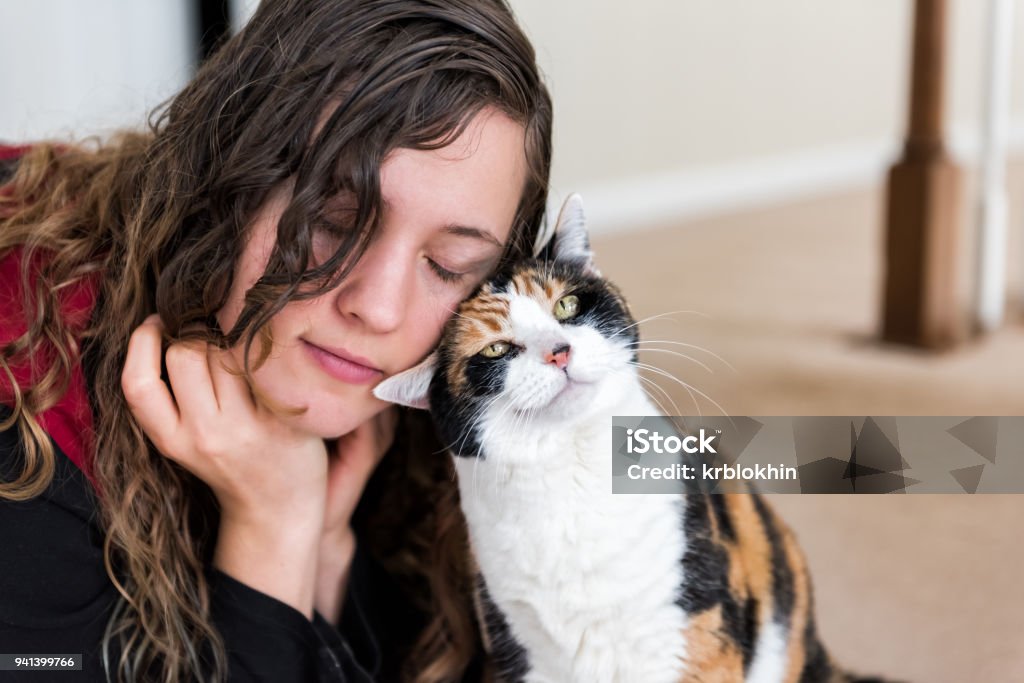 Young woman bonding with calico cat bumping rubbing bunting heads, friends friendship companion pet happy affection bonding face expression, cute adorable kitty Domestic Cat Stock Photo