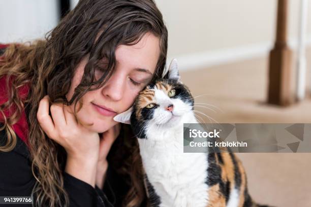 Young Woman Bonding With Calico Cat Bumping Rubbing Bunting Heads Friends Friendship Companion Pet Happy Affection Bonding Face Expression Cute Adorable Kitty Stock Photo - Download Image Now