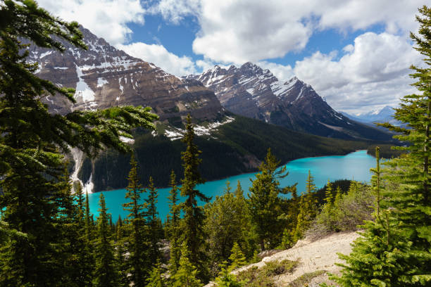 istock Peyto Lake in Alberta, Canada 941399782
