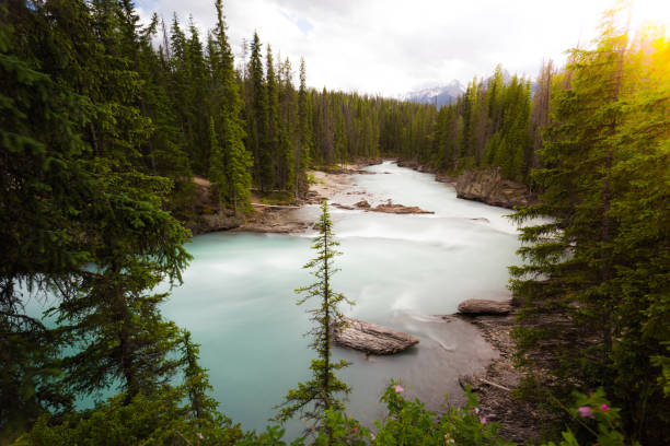 istock Waterfalls long exposure with sun flare, Rocky mountains in Canada 941400576