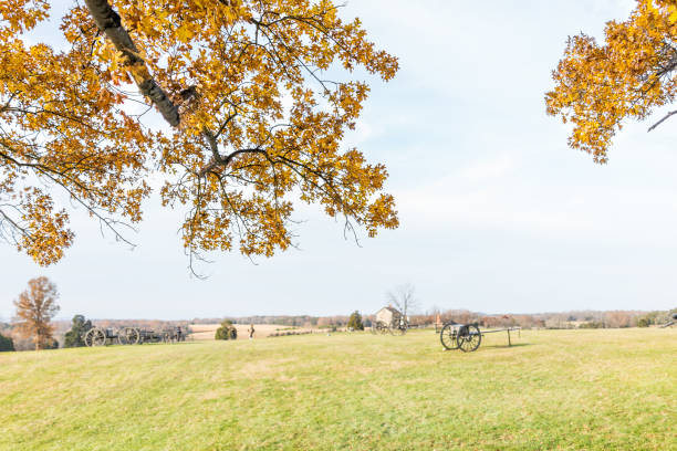 antiguo cañón en campo del prado de manassas national battlefield park en virginia donde se libró la batalla de bull run, follaje amarillo oro en estructura de árbol durante el otoño, otoño temporada - manassas war famous place park fotografías e imágenes de stock