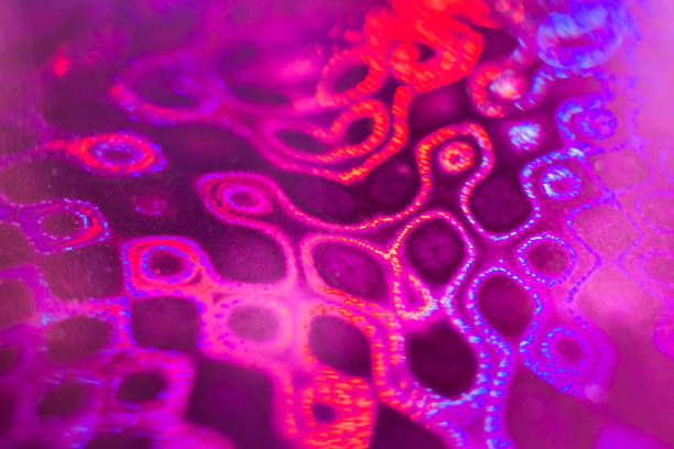 Close-up defocused pink-purple multicolored pattern on holographic paper.