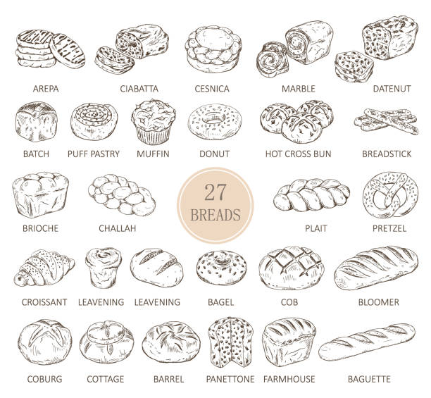 isolierte skizzen von brotsorten - muffin stock-grafiken, -clipart, -cartoons und -symbole