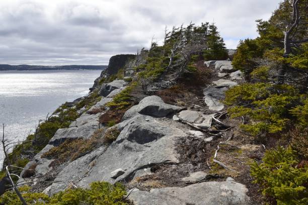 istock Coastal hiking trail, Newfoundland 941412230