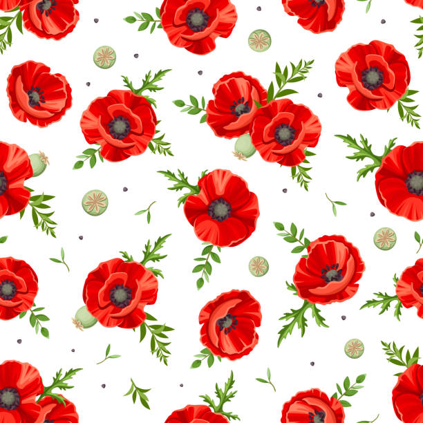 illustrazioni stock, clip art, cartoni animati e icone di tendenza di motivo senza cuciture con papaveri rossi. illustrazione vettoriale. - backgrounds pill white background capsule