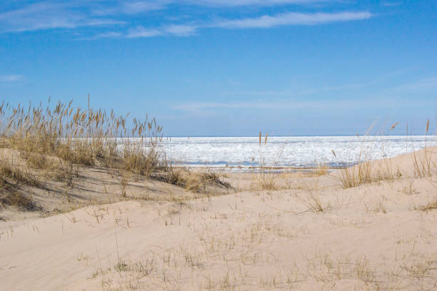 istock Dunes in the early spring in Jurmala 941416012