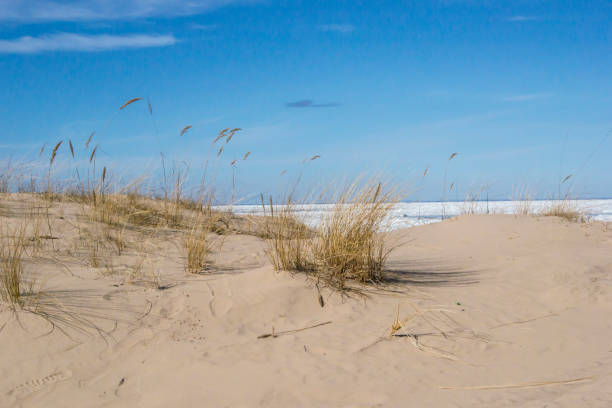 istock Latvia.  Dunes in the early spring in Jurmala 941416064
