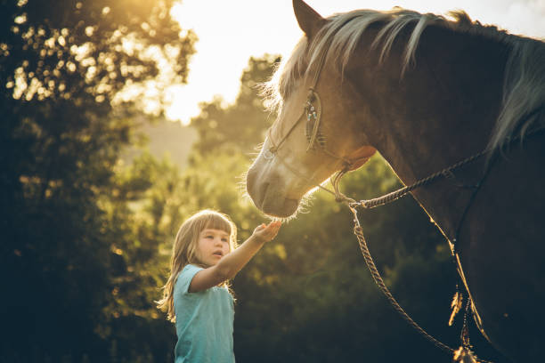 istock Boho Girl with her horse 941421114