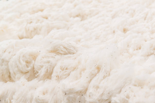 istock background of raw cotton 941427892