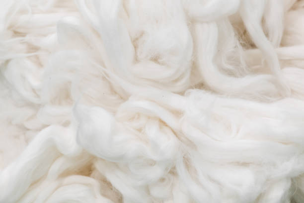 istock background of raw cotton 941431856