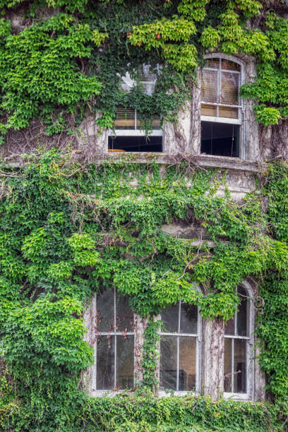 istock Auckland city view 941435338